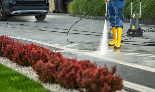 Best Fence Pressure Washing  in Omao, HI