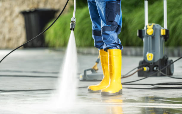Best Pressure Washing Near Me  in Omao, HI