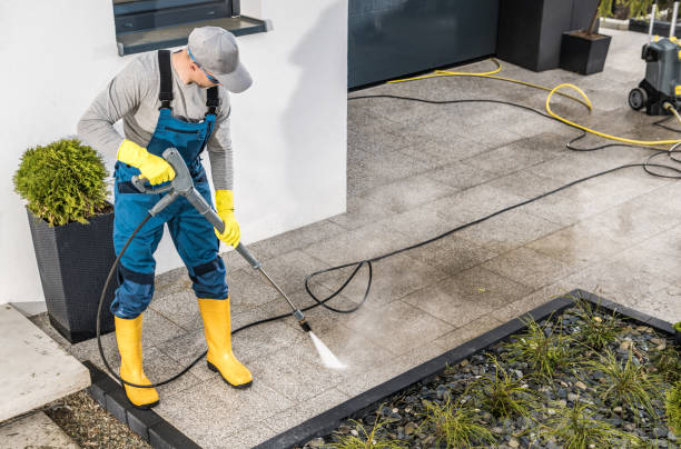 Best House Pressure Washing  in Omao, HI