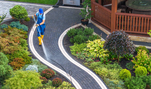  Omao, HI Pressure Washing Pros